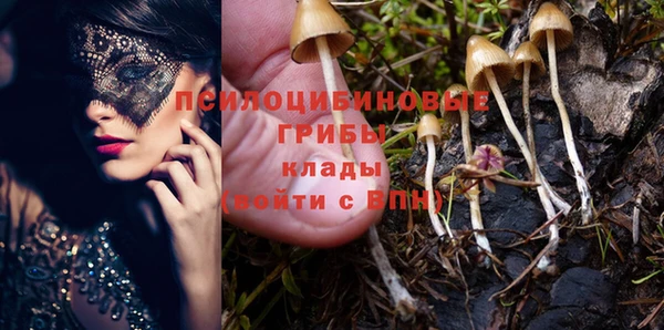 дмт Бронницы