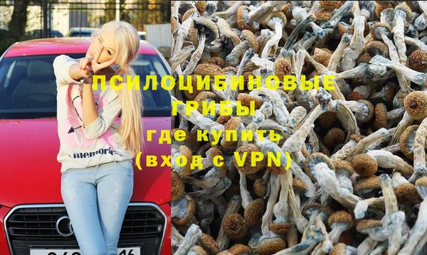 каннабис Бородино