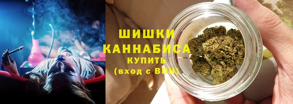 дмт Бронницы