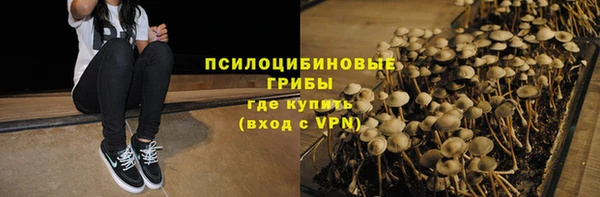 дмт Бронницы