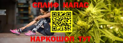 сатива Дубна